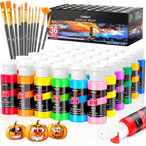 Caliart 36 Colors Acrylic Paint Set overview