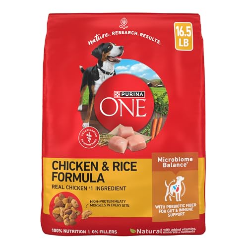 Purina ONE Chicken & Rice Formula bag