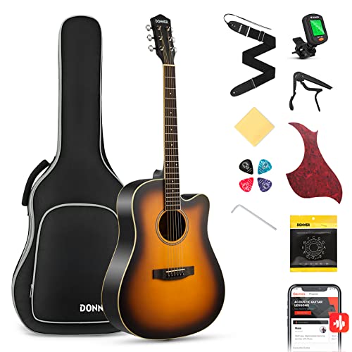 Donner DAG-1CS Sunburst acoustic guitar front view