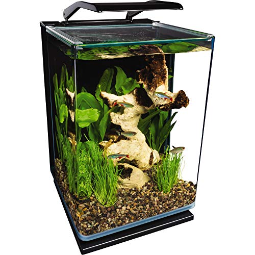 MarineLand Portrait 5-Gallon tank front view