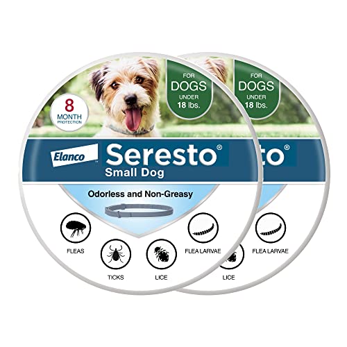 Seresto 8-Month Flea & Tick Collar for Small Dogs Under 18 lbs., 2ct box front