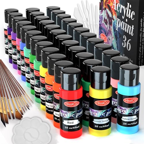 HissiCo 55-piece acrylic paint set in packaging