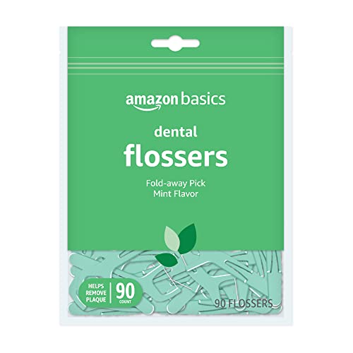 Basics Mint Dental Flossers 90 Count package