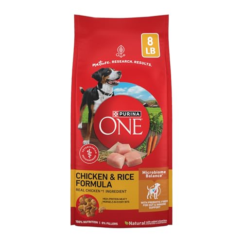 Purina ONE Chicken & Rice 8 lb bag front view