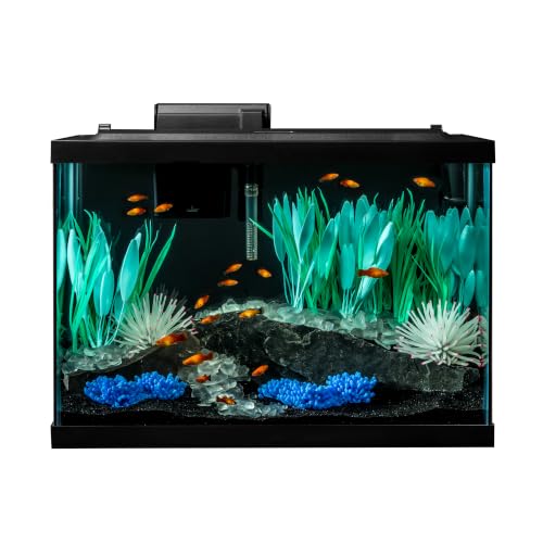Tetra Color Complete 20 Gallon tank front view