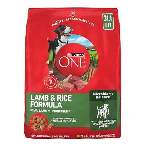 Purina ONE Lamb and Rice 31.1 lb bag front view