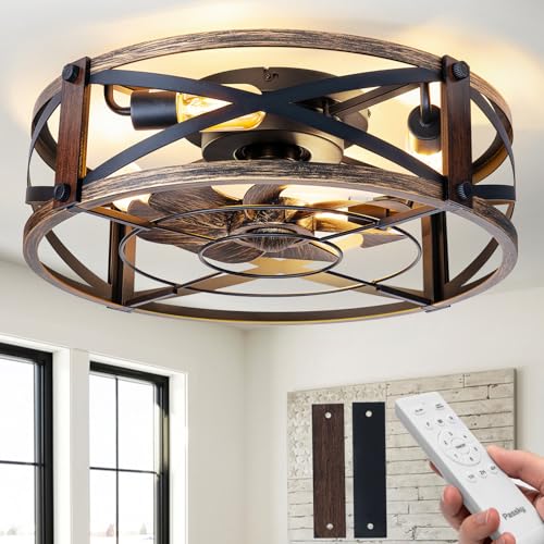 Passky 20 inch caged ceiling fan front view
