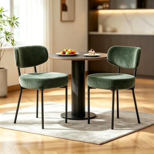 DUMOS dining chairs set of 2 in green