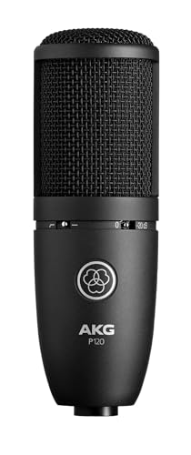 AKG P120 condenser microphone front view