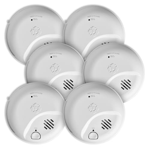 First Alert SMICO100-AC smoke and carbon monoxide alarm unit